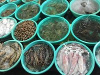 Giới trẻ nên bỏ túi ngay những bí kíp khi đi du lịch Cần Giờ