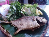 PGS.Thịnh hướng dẫn cách rán cá tránh bệnh ung thư