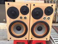 Kinh nghiệm chọn mua loa Victor SX 5 chất lượng