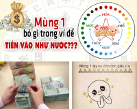 Mệnh Kim, Mộc, Thủy, Hỏa, Thổ bỏ gì vào ví ngày mùng 1 để giàu ú ụ ?