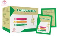 Lactobacillus – Hỗ trợ giảm rối loạn tiêu hóa do loạn khuẩn đường ruột