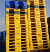 Mua bán Pallet nhựa Phú Thọ - Pallet nhựa cũ Phú Thọ
