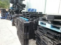 Tìm đại lý bán pallet nhựa cũ giá rẻ Bắc Ninh uy tín