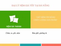 Nệm Đà Thành - Đại lý nệm giá tốt tại Đà Nẵng