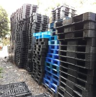 Mua bán Pallet nhựa Thanh Hóa