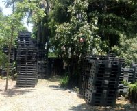Pallet nhựa giá rẻ