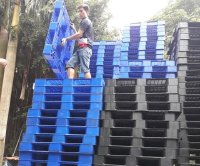 Pallet nhựa đã qua sử dụng