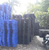 Pallet nhựa cũ