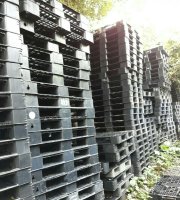 Giá pallet nhựa cũ
