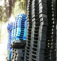Pallet nhựa giá bao nhiêu?
