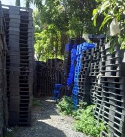 Báo giá pallet nhựa