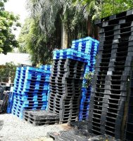 Giá pallet nhựa