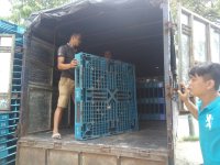 Cách nhận biết Pallet nhựa cũ chất lượng khi mua