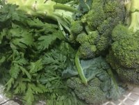 Mách bạn những loại thực phẩm tốt cho người bị xương khớp