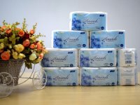 Đối tác phân phối thương hiệu giấy Anandi - Công ty CP Giấy Miền Nam