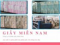 Công ty Cổ Phần Giấy Miền Nam