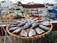 Đặc sản khô cá sặc 1 nắng miền Tây