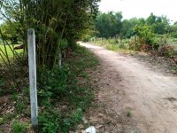 4 nguyên nhân khiến giá đất sốt cao nhưng khó giảm