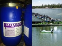 Sử dụng hiệu quả thuốc sát trùng trong thủy sản