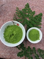 Tác dụng của bột lá chùm ngây