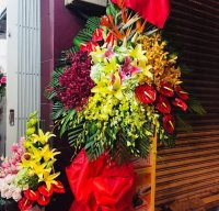 Cung cấp hoa chúc mừng khai trương