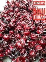 Tác dụng của hoa Atiso Đỏ Bình Thuận