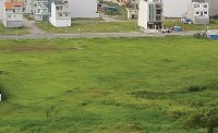 Kinh nghiệm quan trọng khi mua đất