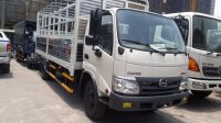 Tư vấn mua xe tải Hino hay xe tải Isuzu?
