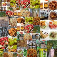 Shop Trà My cung cấp sỉ lẻ thức ăn nhanh đồ ăn vặt online