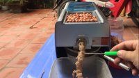 Có nên mua máy ép dầu lạc gia đình?