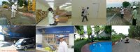 Những loài côn trùng gây hại xung quanh bạn – Diệt côn trùng uy tín Tp HCM