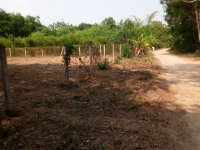 Tình hình giá đất Củ Chi: đang trong cơn sốt