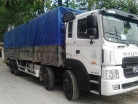 Những suy nghĩ không chính xác về xe tải điện