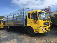 Hội con gái sẽ đổ xô đi mua cả tá chanh về trị mụn và làm trắng da