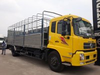 Bí quyết giúp người dân đảo Okinawa sống hơn 100 tuổi là gì?