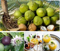 [Nắng nóng 40 độ] Cách làm nước dừa chanh dây mát lạnh ngày hè