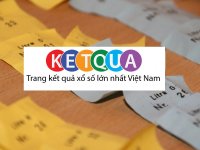 Website tổng hợp kết quả xổ số miền Bắc