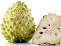 Hướng dẫn trồng cây na bở, mãng cầu Đài Loan tại nhà