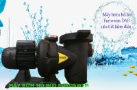 Máy bơm hồ bơi chuyên dụng cho các bể diện tích lớn