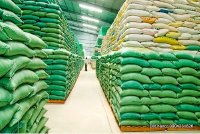Những ưu điểm, cách phân loại và hướng dẫn sử dụng bao pp dệt đựng gạo