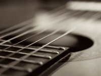 Kênh nhạc vàng trữ tình hải ngoại hấp dẫn nhất