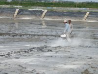 Mật độ nuôi tôm thẻ chân trắng phụ thuộc vào những yếu tố nào?