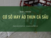 Cơ sở may áo thun cá sấu TPHCM