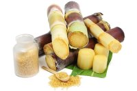 Mía cải thiện tỷ lệ chuyển đổi thức ăn của tôm cá