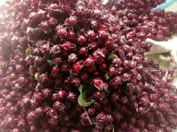 Công dụng tuyệt vời của hoa atiso đỏ đối với sức khỏe