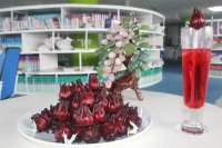 Hướng dẫn cách ngâm hoa atiso đỏ làm nước uống