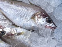 Khô cá đặc sản 3 miền