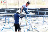 Tìm hiểu về kỹ thuật lót bạt ao nuôi tôm để đạt hiệu quả cao