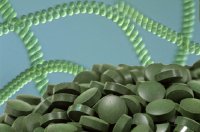 Chăm sóc sức khỏe mỗi ngày với viên tảo xoắn Spirulina 500