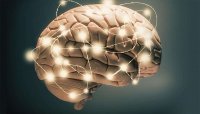 Citicoline là chất gì ? Công dụng của Citicoline đối với não bộ